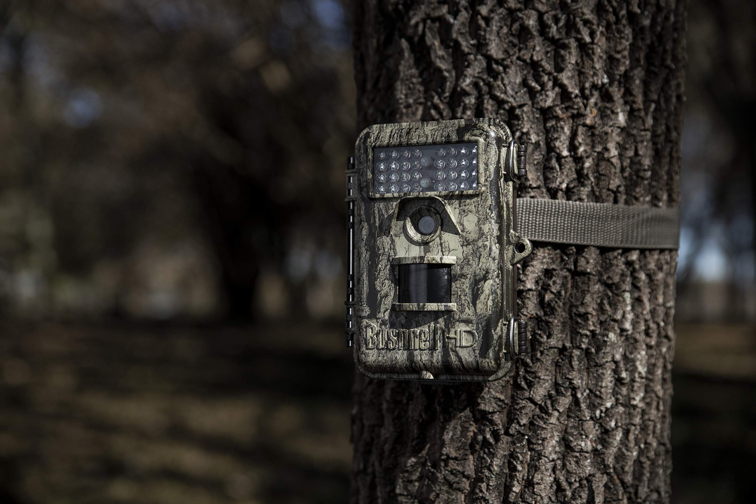 Amazon.com : Bushnell Trophy Trail Camera 20MP - High-Resolution